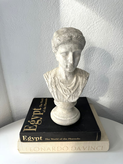 Roman Greek bust statue | sculpture | VTG library decor