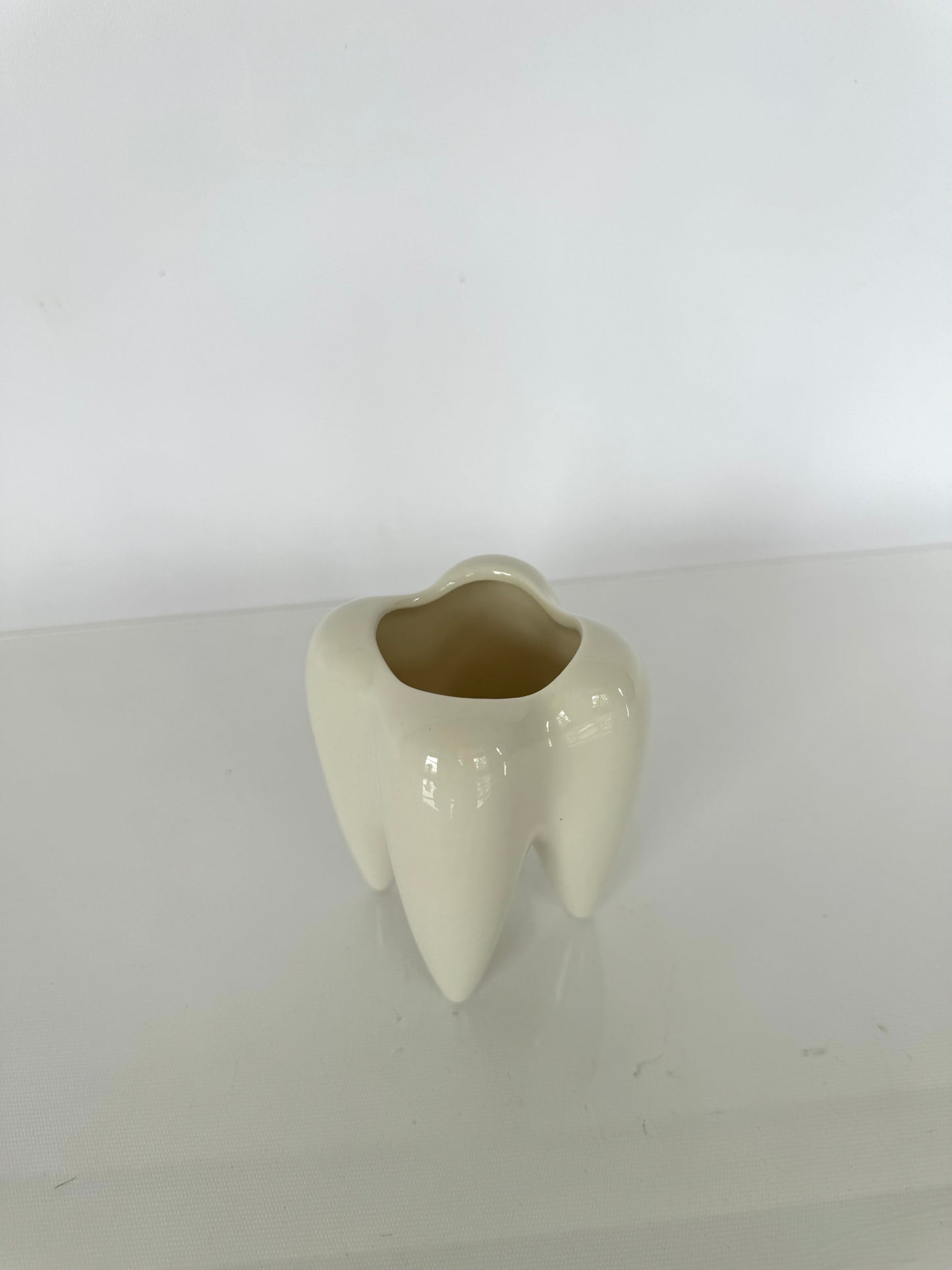 Ceramic glazed white tooth catchall | succulent planter