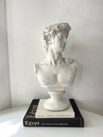 X~ Large David Bust by:  Michelangelo | Roman Bust sculpture