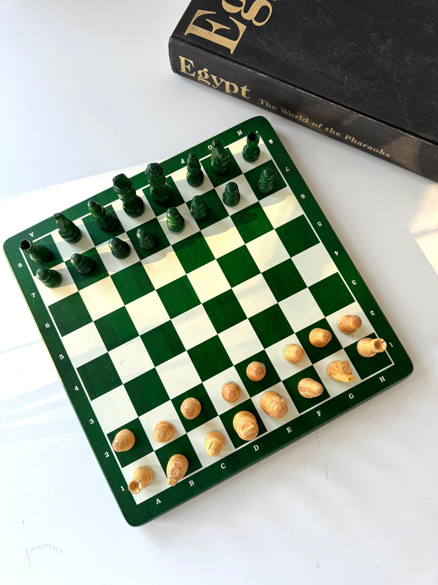 Wood green + white teaching chess set | wood pieces included