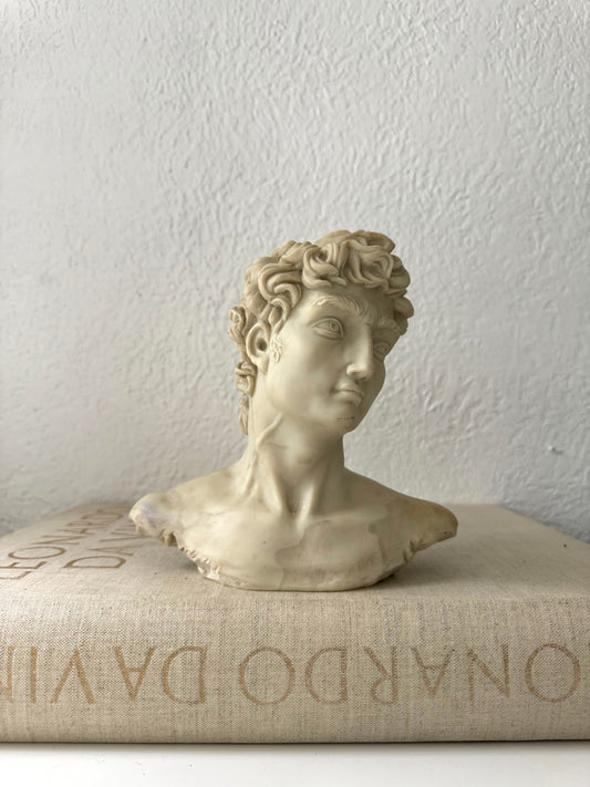 Bust of David | Greek bust resin statue