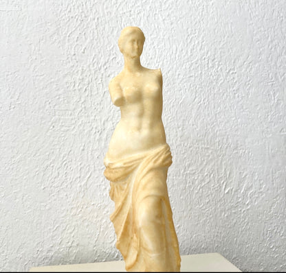 MCM Venus De Milo salt stone sculpture